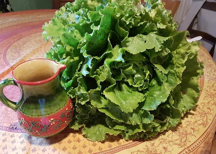 De Quiers * Compeyre