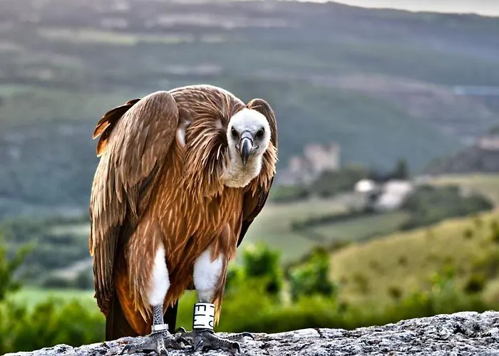 Σπίτι διακοπών De Quiers *