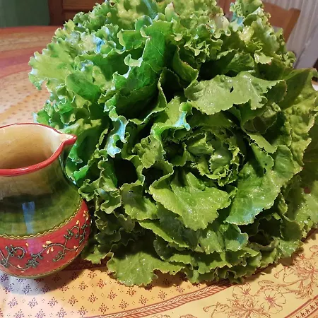 De Quiers * Compeyre