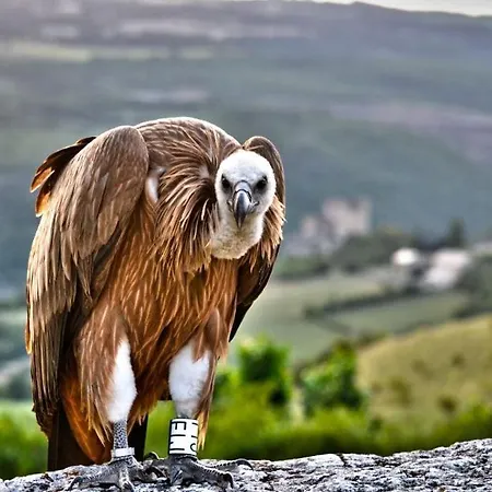 Casa de Férias De Quiers *